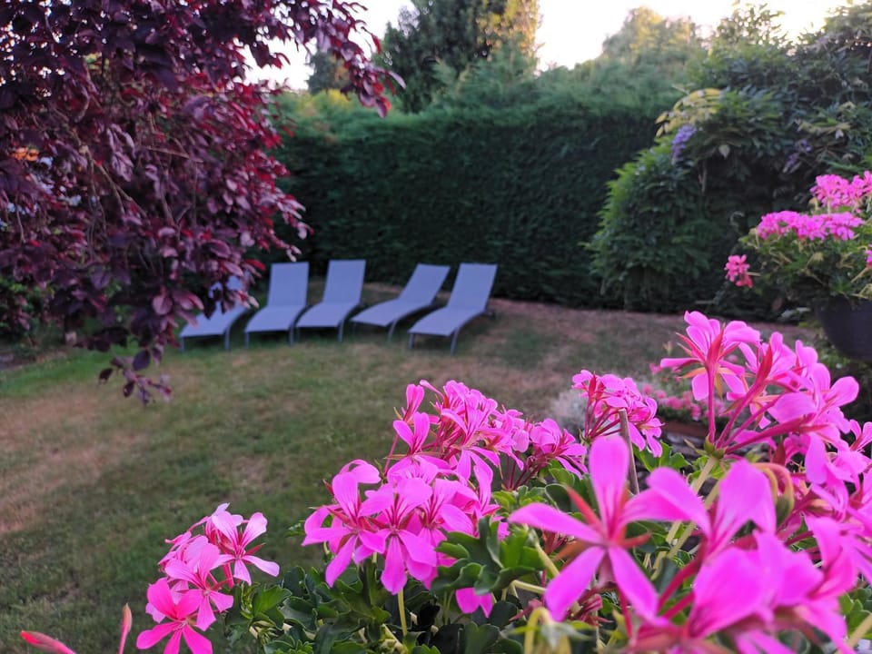 Garden, Garden, sunbed