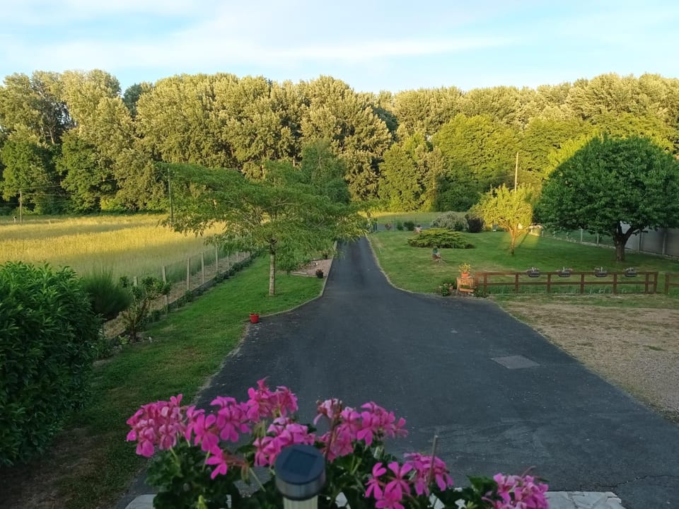 Natural landscape, Garden, Garden, Garden view
