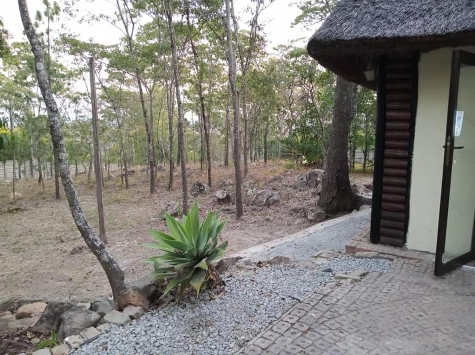 Unique Thatched Studio with pool access Apartment in Harare