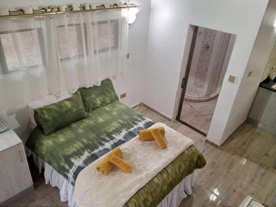 Unique Thatched Studio with pool access Apartment in Harare