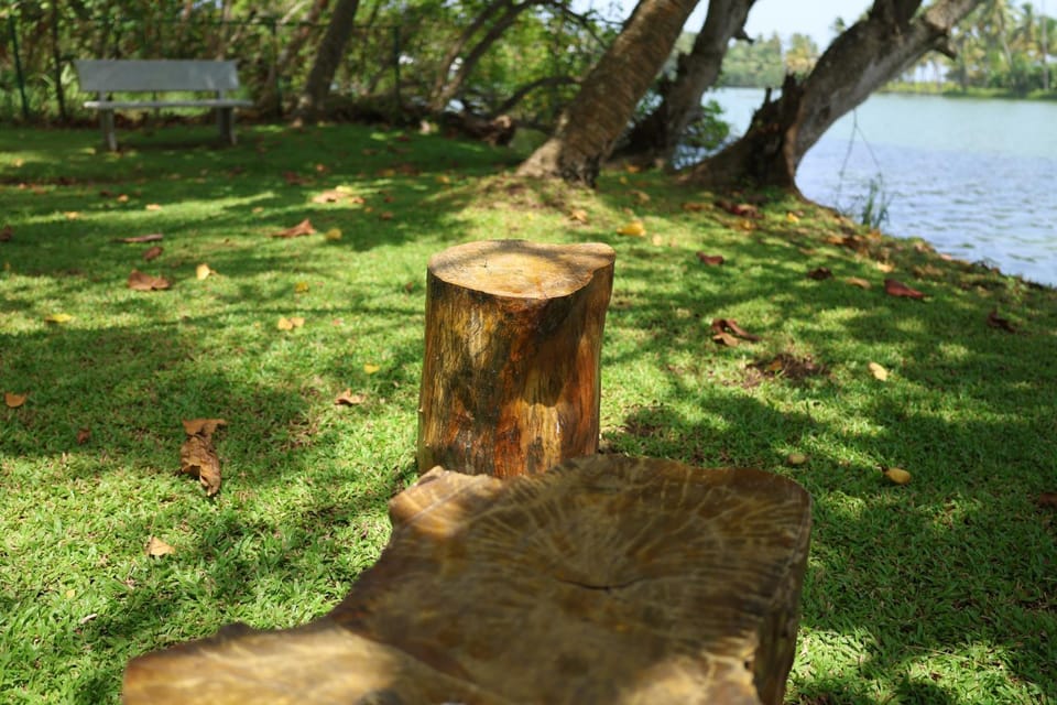 Natural landscape, Garden, Lake view