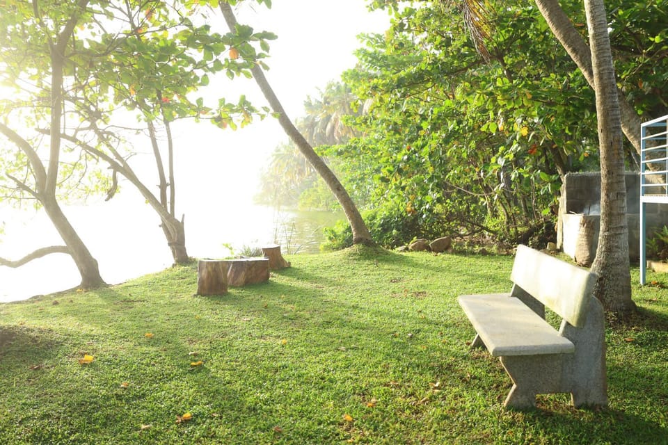 Day, Natural landscape, Garden view