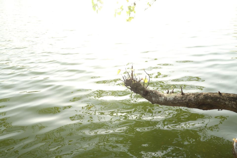 Day, River view