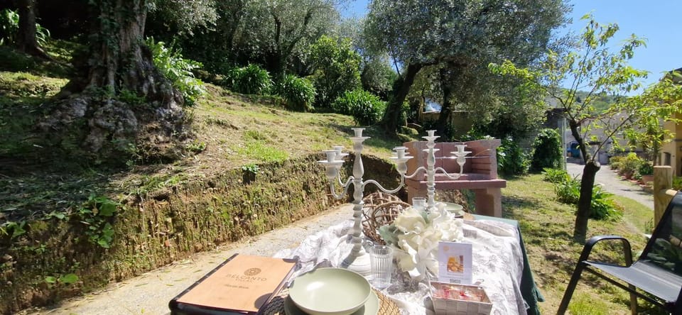 Spring, Day, Natural landscape, Garden, Garden, Dining area, Garden view