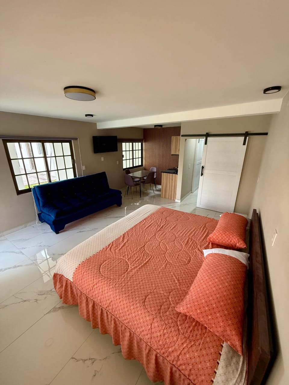 Bed, Living room, Photo of the whole room, Bedroom