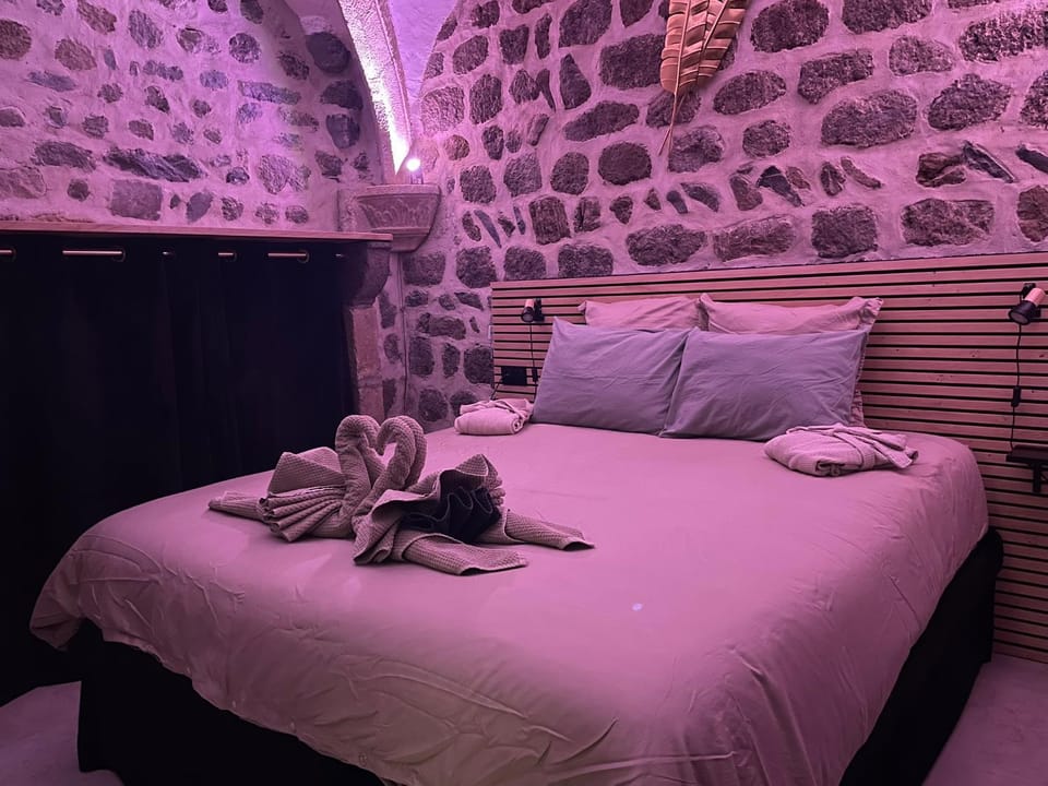 La parenthèse Ponote - Hammam - WIFI - city center Apartment in Auvergne-Rhône-Alpes