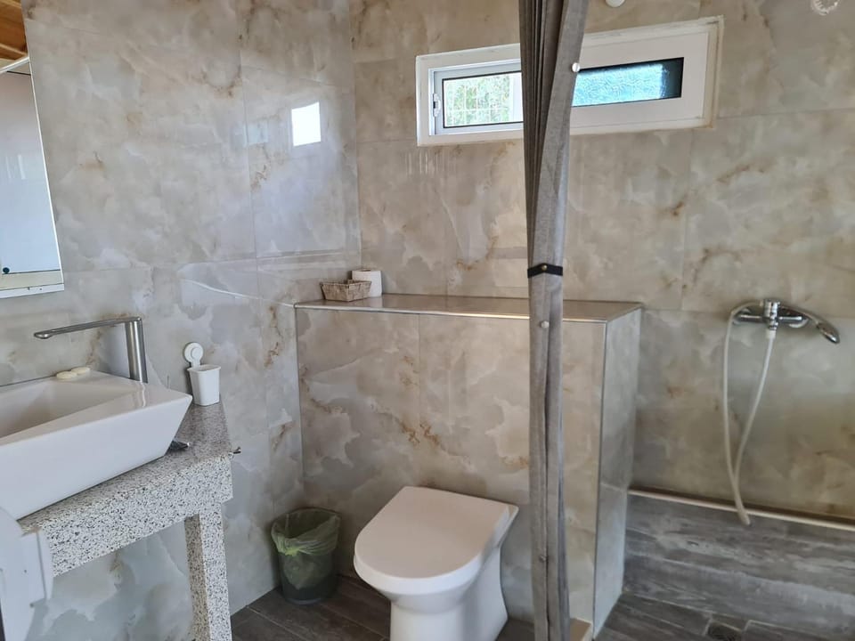 Shower, Toilet, Bathroom, bidet