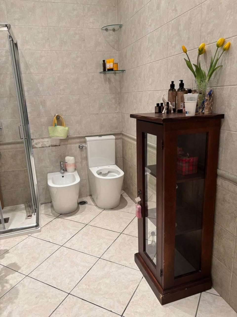 Shower, Toilet, Bathroom, bidet