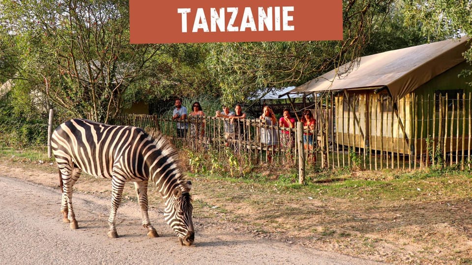 Séjour Insolite Safari Parc - Planète Sauvage Luxury tent in Pays de la Loire