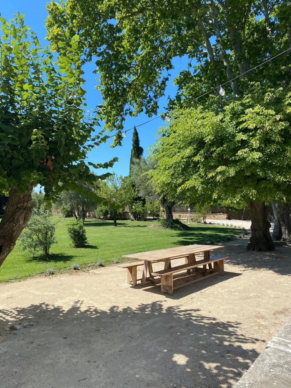 Spring, Natural landscape, Garden, Garden view
