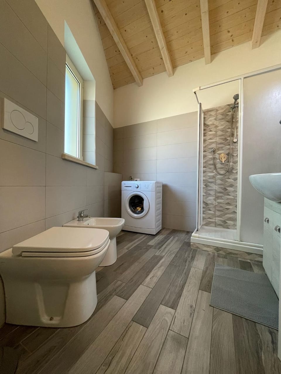 Shower, Toilet, Bathroom, bidet, washing machine