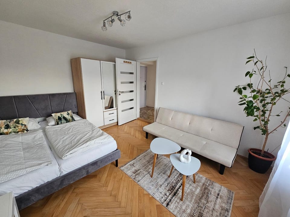 Photo of the whole room, Seating area, Bedroom, wardrobe