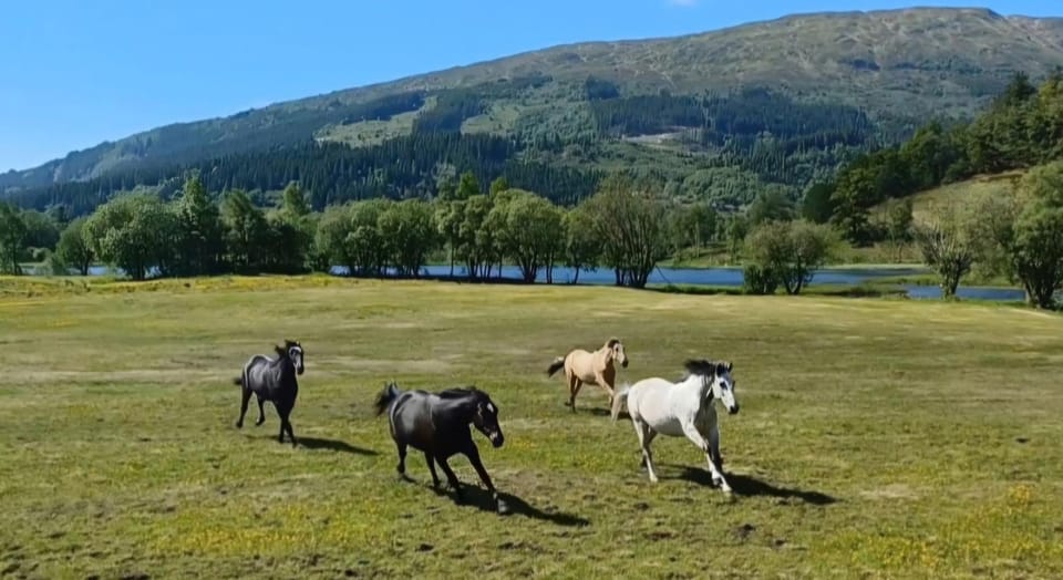 Nesvika 5 bedroom holiday home, only 25 min from Bergen House in Bergen