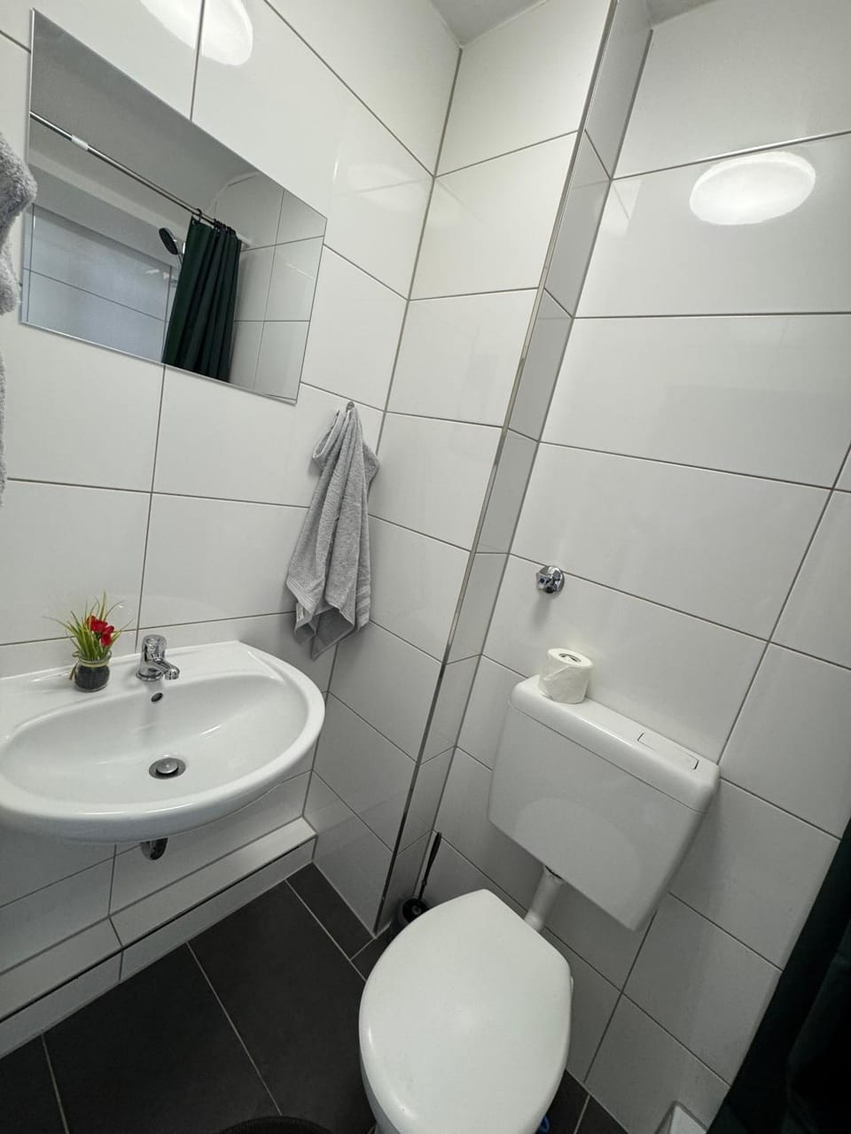 Toilet, Bathroom
