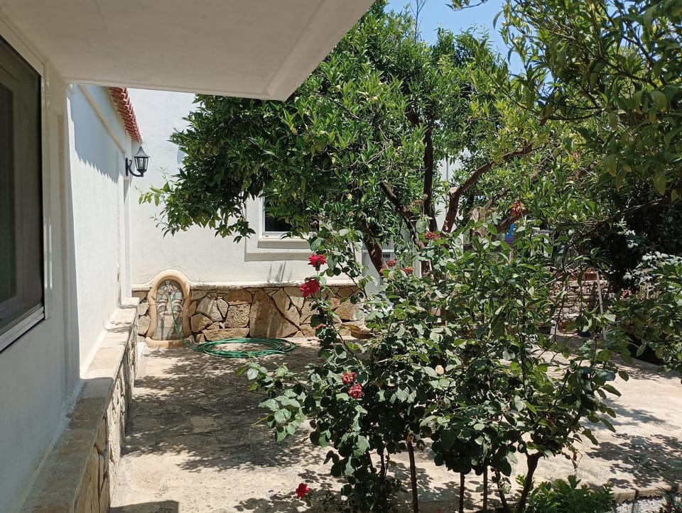 Garden, Garden
