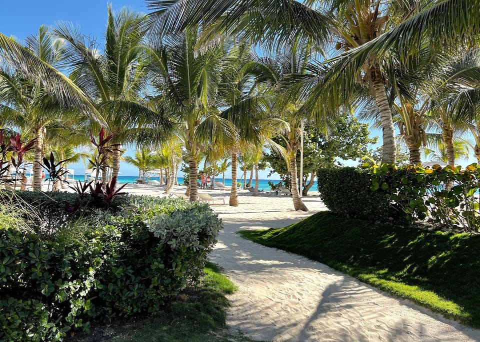 Day, Natural landscape, Garden, Beach, Garden view, Sea view