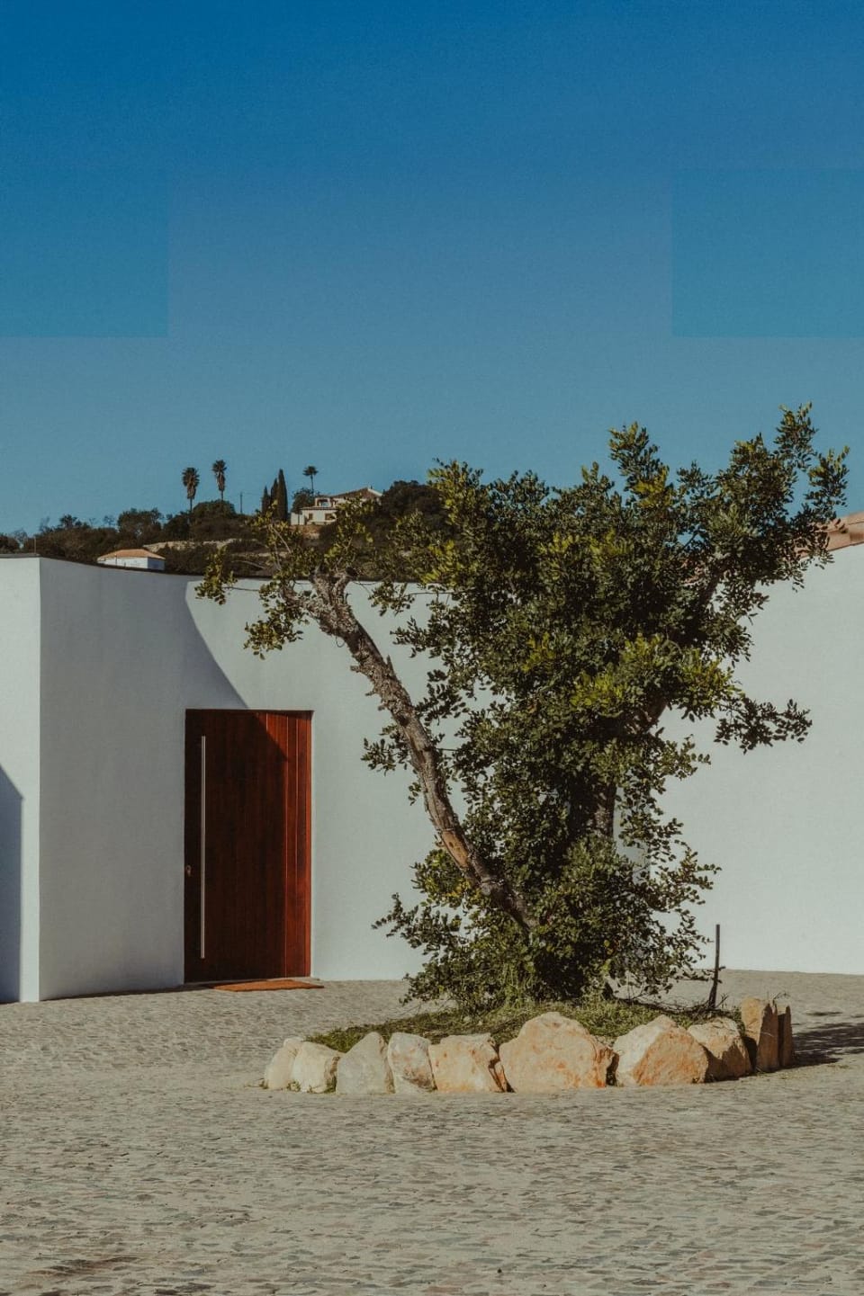 Vila Alfaiate Villa in Loulé