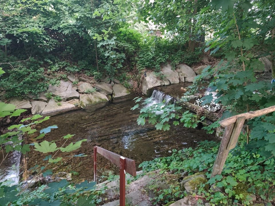 River view