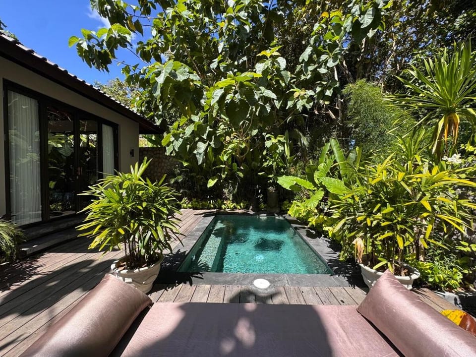 Patio, Swimming pool
