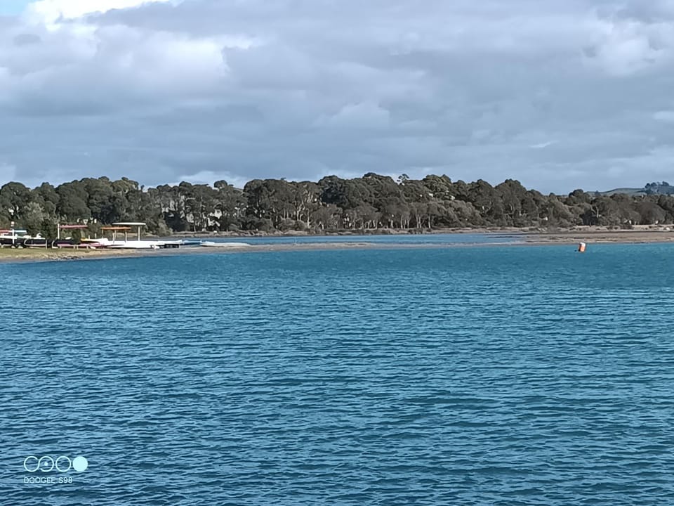 Cozy spacious estuary view three bedroom townhouse House in Napier