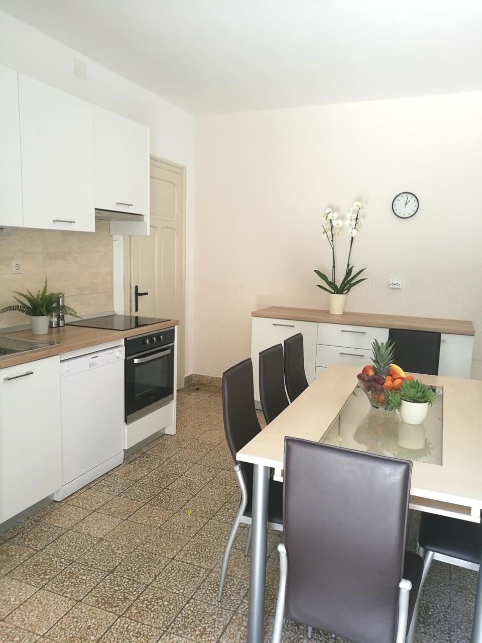Authentic Dalmatian House Apartment in Šibenik-Knin County, Croatia