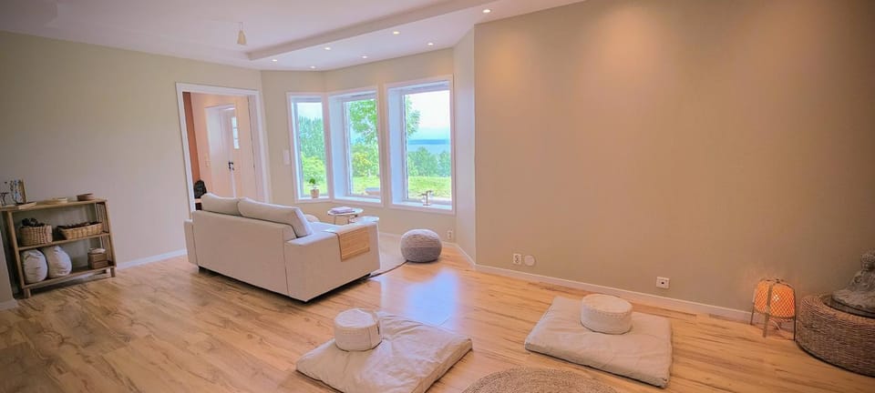 Living room, Photo of the whole room, Seating area