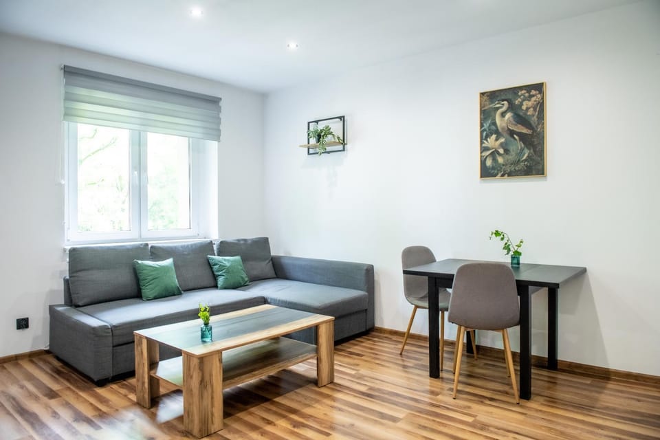 Apartament Lipowa 26 Apartment in Czechia