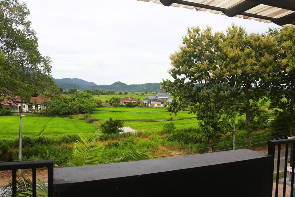 View (from property/room), Street view, Street view
