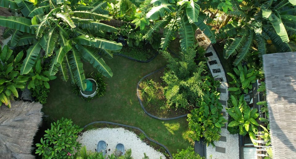 Garden view