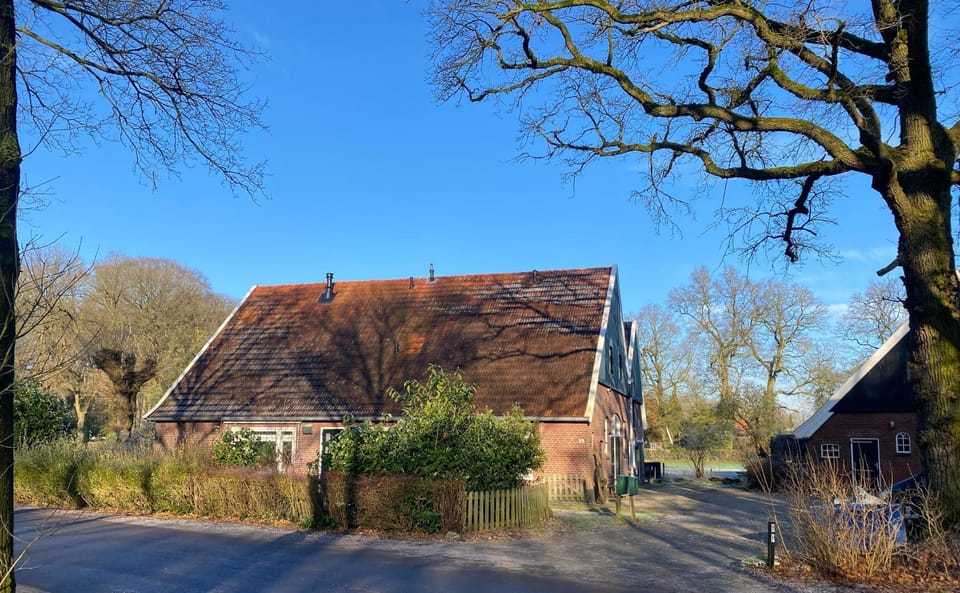 Property building, Day
