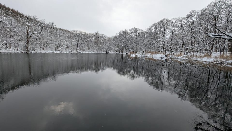 Natural landscape