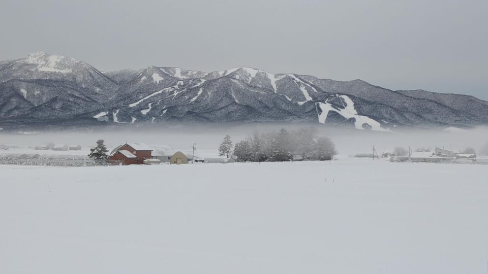 Natural landscape