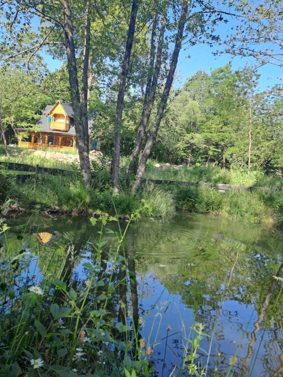 Casuta din padure House in Romania