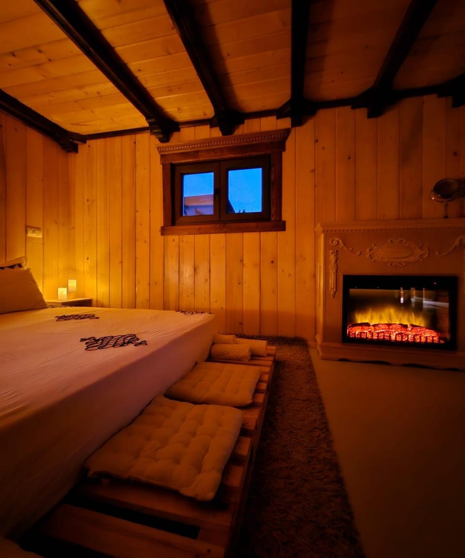 Bed, Photo of the whole room, Bedroom, fireplace