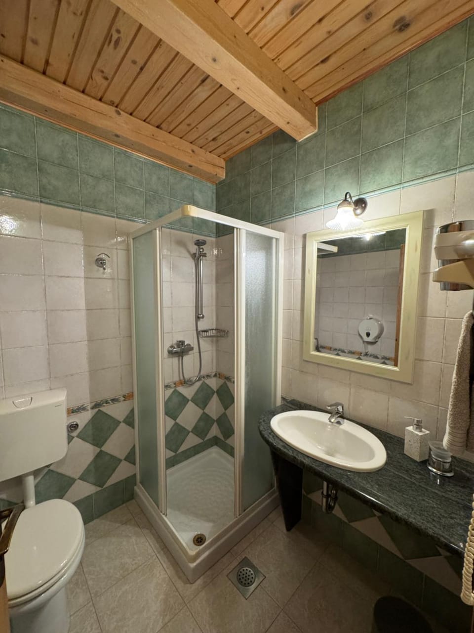 Shower, Toilet, Bathroom, towels