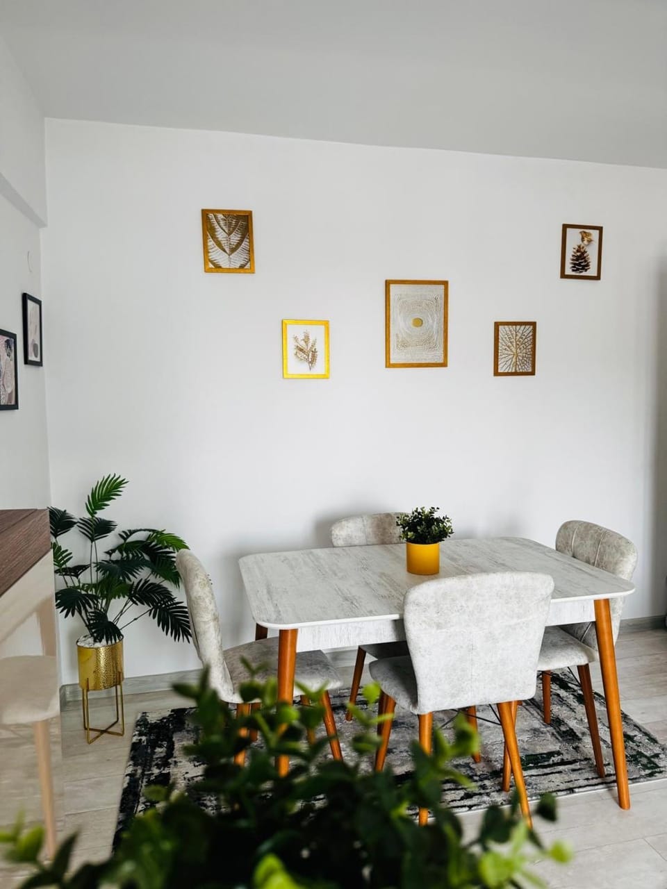 Apartment Ultracentral splendid Apartment in Craiova