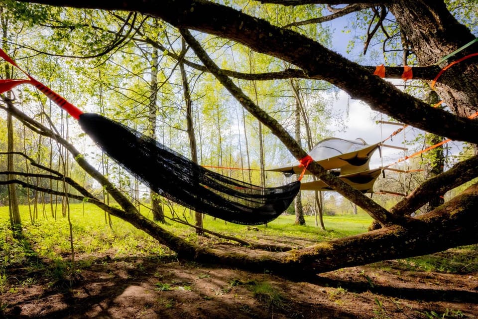 Natural landscape