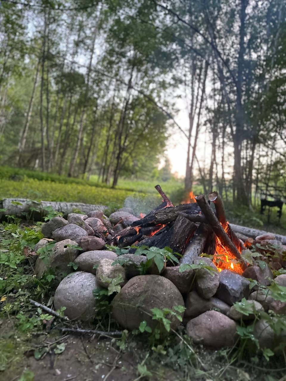 BBQ facilities