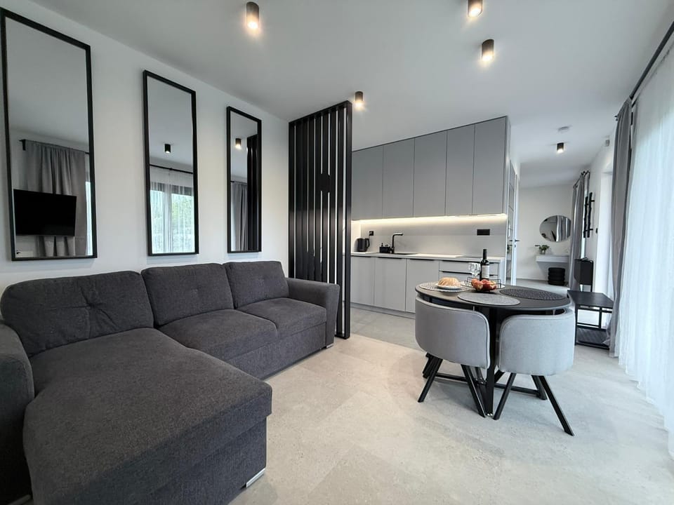 Kitchen or kitchenette, Living room, Seating area, Dining area