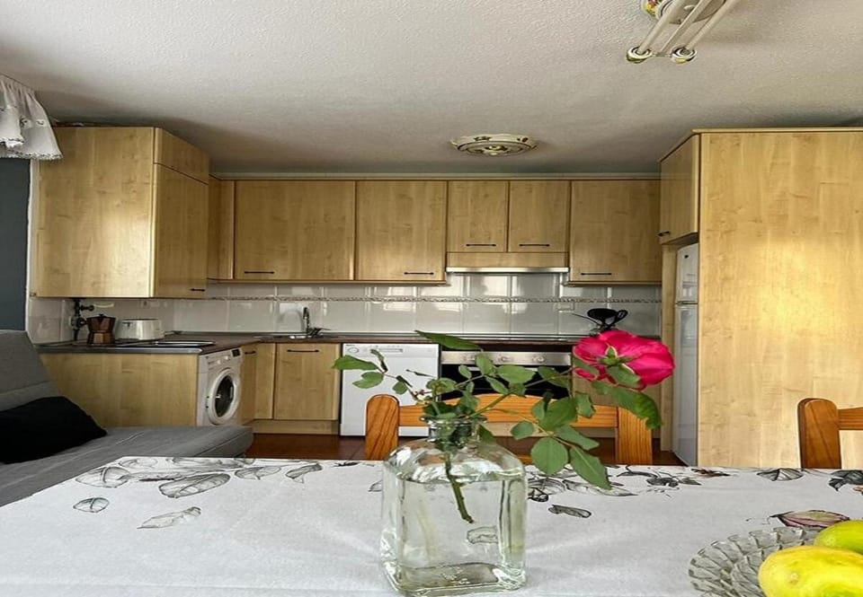 Kitchen or kitchenette, Dining area, dishwasher, oven, stove, washing machine