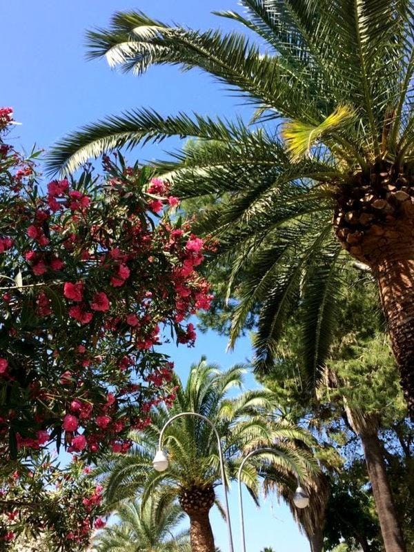 Mora Mora - Apartments Apartment in San Benedetto del Tronto