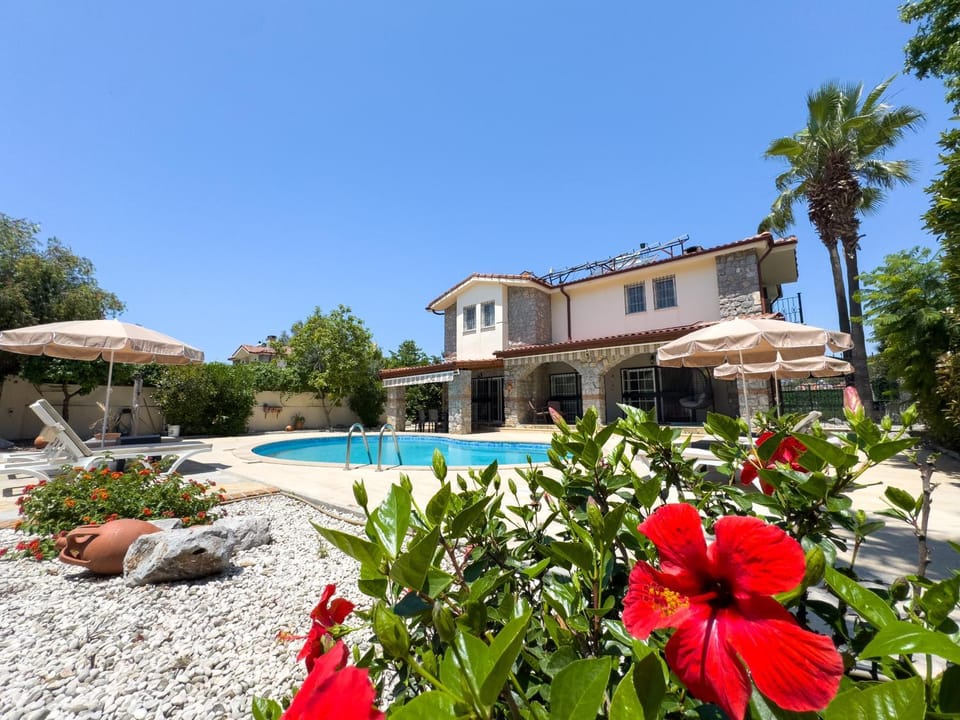 Property building, Day, Garden, Garden view, Swimming pool, sunbed