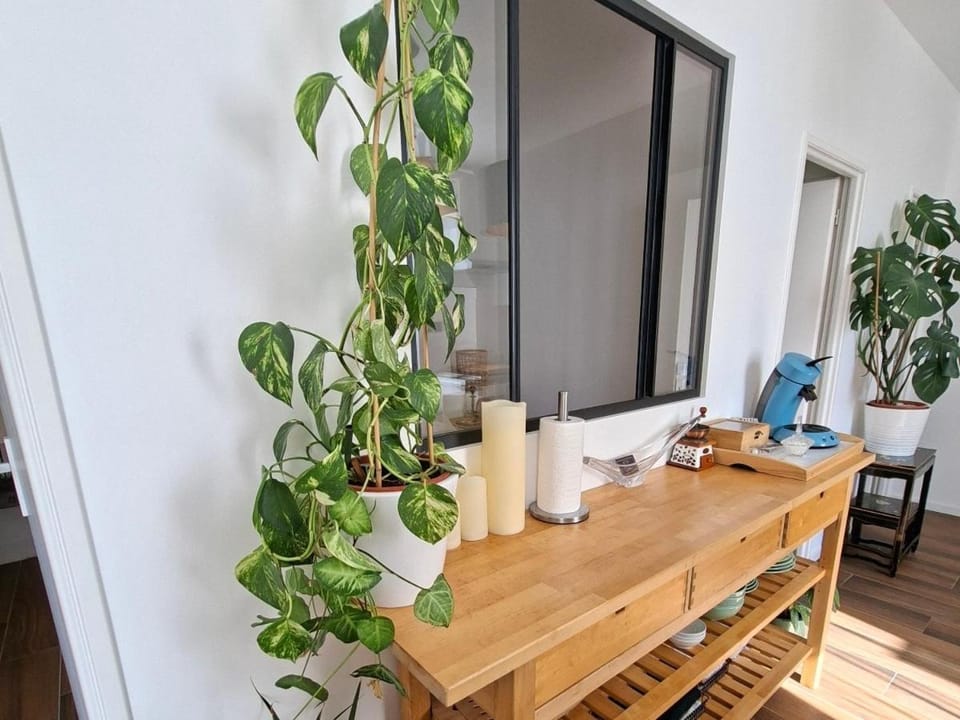 Hôte Stéphanois &parking Apartment in Saint-Étienne