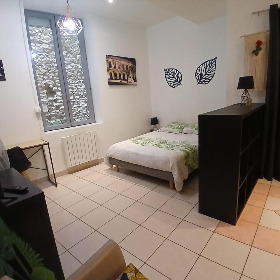 large studio near train station, very central Apartment in Nimes
