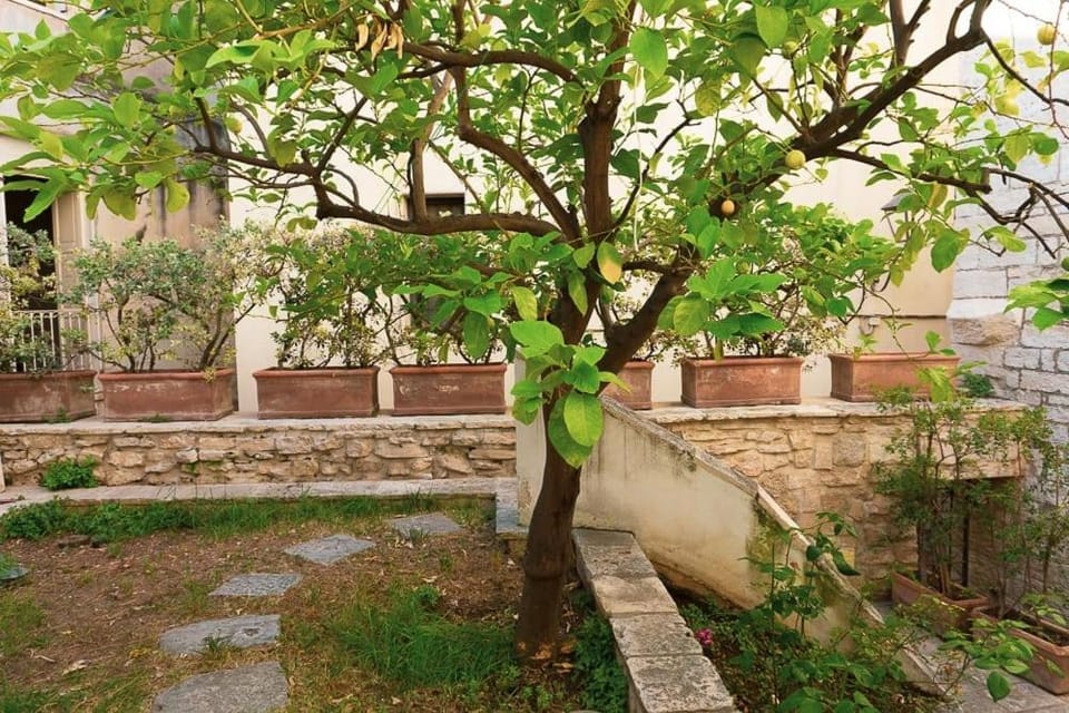 Garden, Garden view