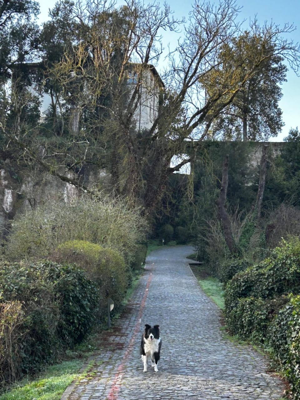 Nearby landmark