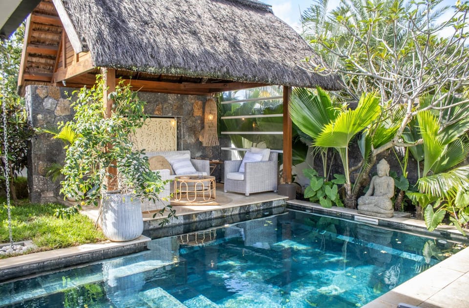 Garden, Garden view, Swimming pool