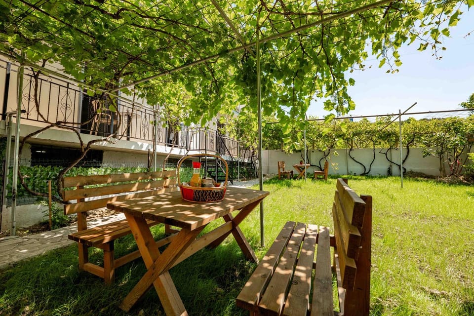 Property building, Garden view