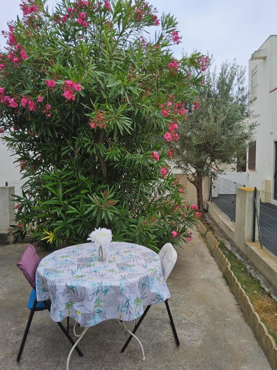 La MER du Cardinale, grande Terrasse clim 4 personnes Apartment in Le Barcarès