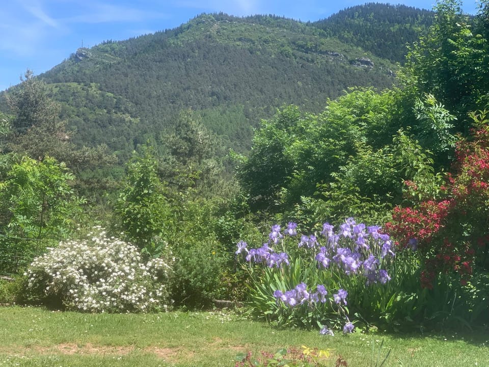 Natural landscape, Garden